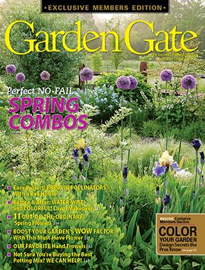 Garden Gate magazine cover shot of Blue Allium.